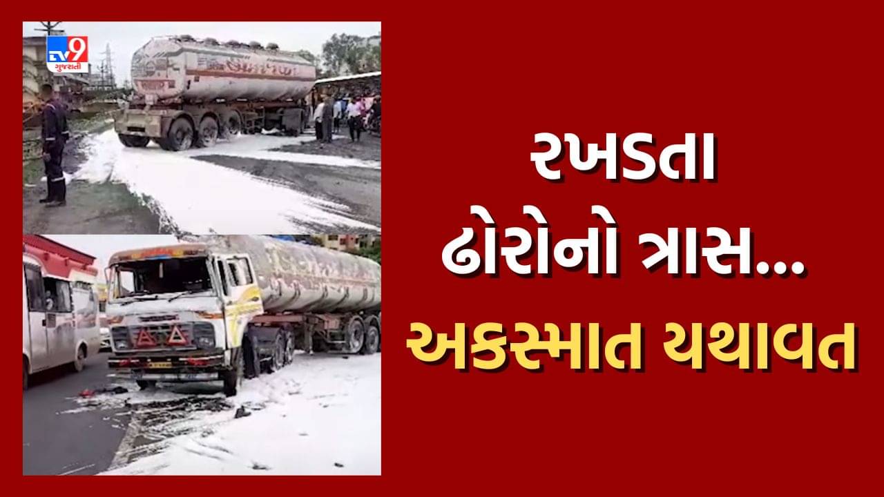 Valsad : કેમિકલ ભરેલા ટેન્કરે મારી પલટી, ભેંસોનું ટોળું હાઇવે પર આવી જતા બની ઘટના, જુઓ Video