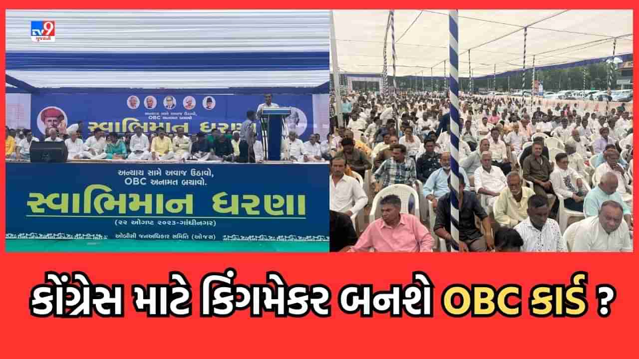 Gandhinagar : સત્યાગ્રહ છાવણીમાં કોંગ્રેસના OBC સ્વાભિમાન ધરણા, વસ્તી આધારિત બજેટ અને જાતિગત વસ્તી ગણતરીની ઉઠી માગ