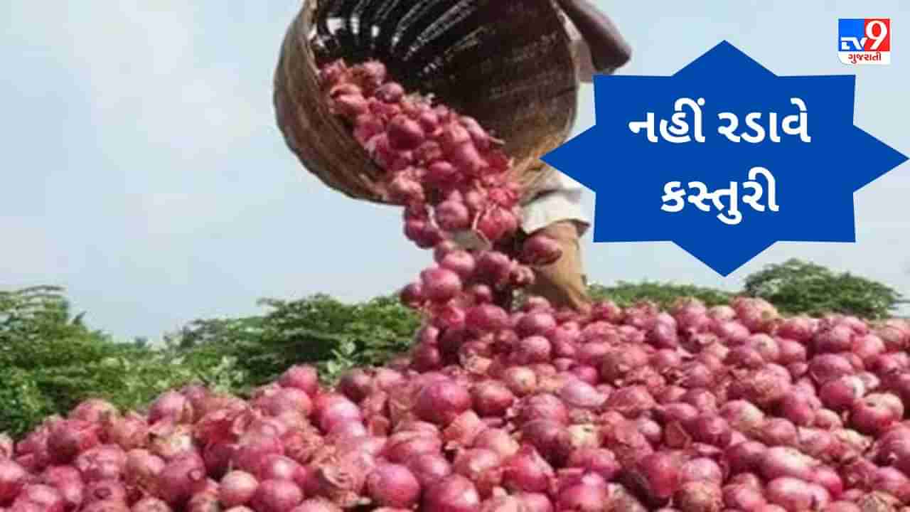 commodity market today : સામાન્ય જનતાને નહીં રડાવે કસ્તુરી, સરકાર 25 રૂપિયે કિલોના ભાવે વેચશે ડુંગળી