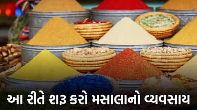 Spice Business : મસાલાના બિઝનેસથી કમાઈ શકો છો સારી એવી આવક, આ રીતે કરો શરૂઆત