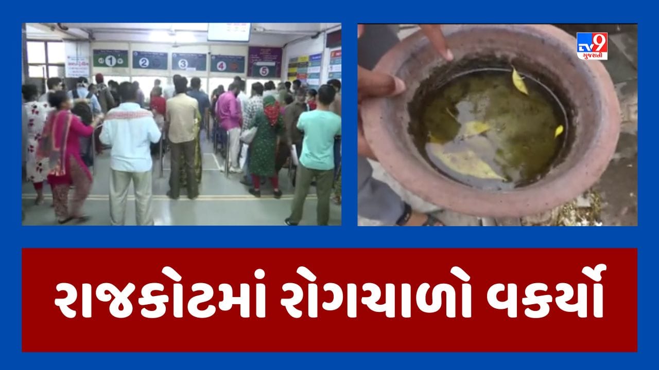 Gujarati Video: રાજકોટમાં વકર્યો રોગચાળો, 6 દિવસમાં શરદી-ઉધરસના 314, સામાન્ય તાવના 56 અને ઝાડા-ઉલટીના 206 કેસ Gujarati Video: રાજકોટમાં વકર્યો રોગચાળો, 6 દિવસમાં શરદી-ઉધરસના 314, સામાન્ય તાવના 56 અને ઝાડા-ઉલટીના 206 કેસ