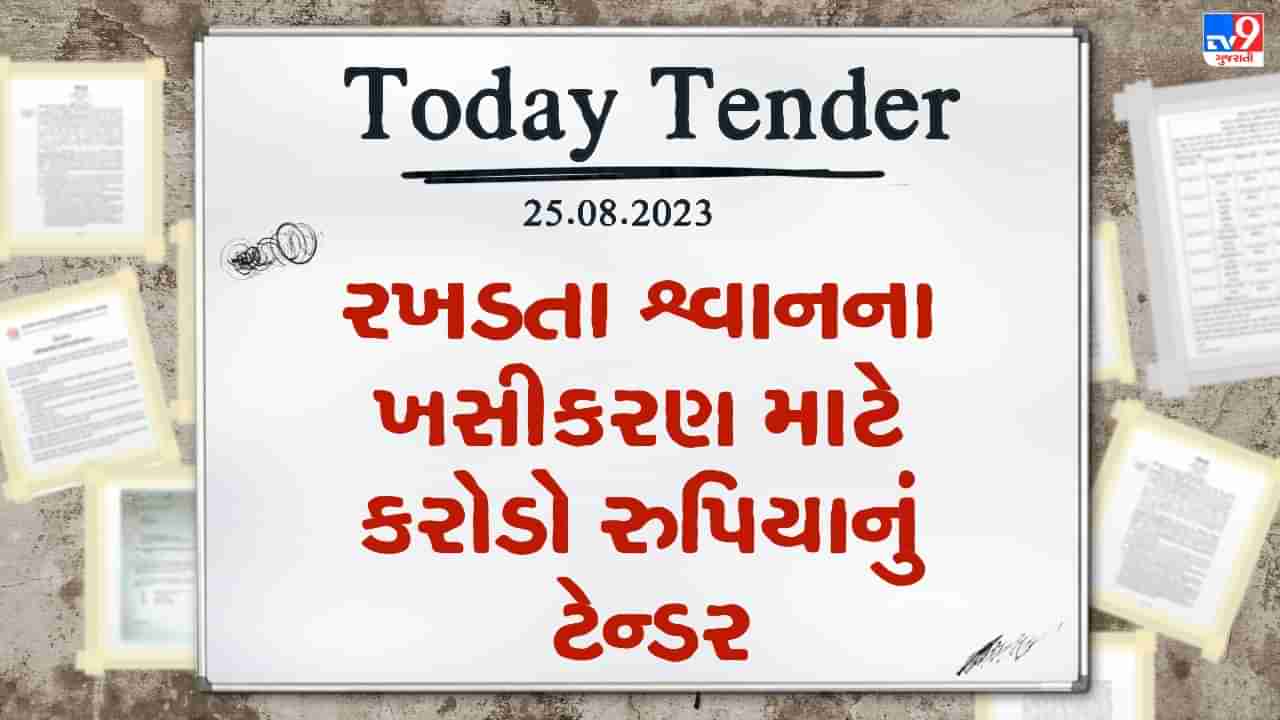 Tender Today : ગાંધીનગર મહાનગરપાલિકા હદ વિસ્તારમાં રખડતા શ્વાનનું થશે ખસીકરણ, કરોડો રુપિયાનું ટેન્ડર કરાયુ જાહેર, જૂઓ Video