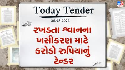 Tender Today : ગાંધીનગર મહાનગરપાલિકા હદ વિસ્તારમાં રખડતા શ્વાનનું થશે ખસીકરણ, કરોડો રુપિયાનું ટેન્ડર કરાયુ જાહેર, જૂઓ Video