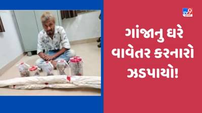 Chhotaudepur: નસવાડીમાં ઘરે ઉછેરેલ ગાંજાના છોડ મળી આવ્યા, SOG એ આરોપીની કરી ધરપકડ, જુઓ Video