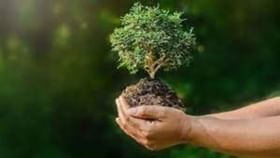 My India My Life Goals: કાગળનો યોગ્ય રીતે કરો ઉપયોગ, પર્યાવરણને સુરક્ષિત રાખવામાં કરશે મદદ