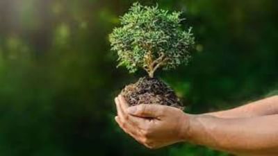 My India My Life Goals: કાગળનો યોગ્ય રીતે કરો ઉપયોગ, પર્યાવરણને સુરક્ષિત રાખવામાં કરશે મદદ