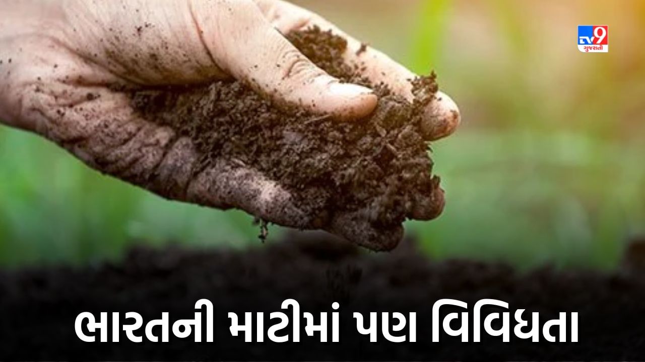 Indian soil : ભારતમાં અમુક અંતરે માટી બદલાય છે, જાણો કોને સૌથી વધુ ફળદ્રુપ માનવામાં આવે છે?