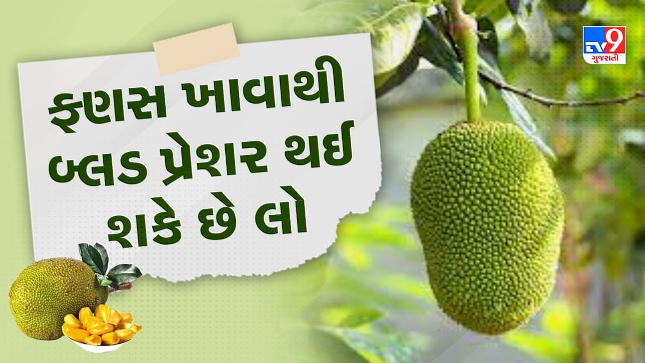 Jackfruit Benefits And Side Effects સુગર લેવલને ઓછું કરવાની દવા લેતા