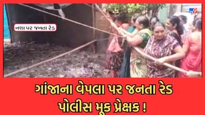 Gujarati Video: સુરતમાં પોલીસ જોતી રહી અને નશાના વેપલા પર જનતાએ કરી રેડ, મોટા પ્રમાણમાં મળ્યો ગાંજો Gujarati Video: સુરતમાં પોલીસ જોતી રહી અને નશાના વેપલા પર જનતાએ કરી રેડ, મોટા પ્રમાણમાં મળ્યો ગાંજો