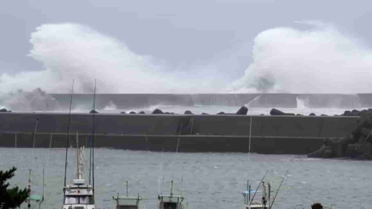 Japan cyclone News: ટાયફૂન વાવાઝોડાને લઈ લેન્ડફોલ પહેલા પશ્ચિમ જાપાનમાં મોટા ભાગના વિસ્તારોમાં પાવર કટ, 800 ફ્લાઇટ્સ રદ સાથે તંત્ર સતર્ક