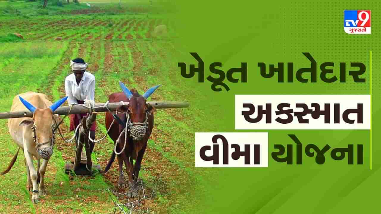 Govt Scheme : ખેડૂત ખાતેદાર અકસ્માત વીમા યોજનાનો લાભ કેવી રીતે મેળવશો