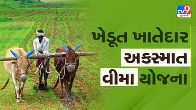 Govt Scheme : ખેડૂત ખાતેદાર અકસ્માત વીમા યોજનાનો લાભ કેવી રીતે મેળવશો