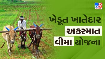 Govt Scheme : ખેડૂત ખાતેદાર અકસ્માત વીમા યોજનાનો લાભ કેવી રીતે મેળવશો