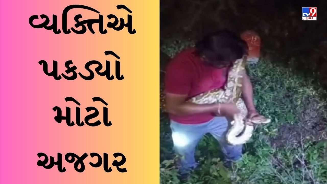 Shocking Viral Video : વ્યક્તિએ પકડ્યો આટલો મોટો અજગર, લોકો કહ્યું ...