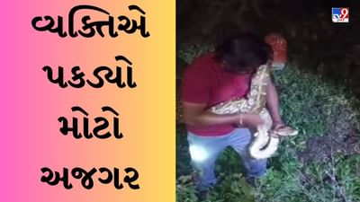 Shocking Viral video : વ્યક્તિએ પકડ્યો આટલો મોટો અજગર, લોકો કહ્યું- સંભાળીને ભાઈ