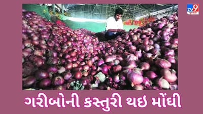 Commodity Market Today : ટામેટા બાદ હવે ડુંગળીના ભાવમાં લાગી આગ, જાણો હજુ કેટલા વધશે ભાવ