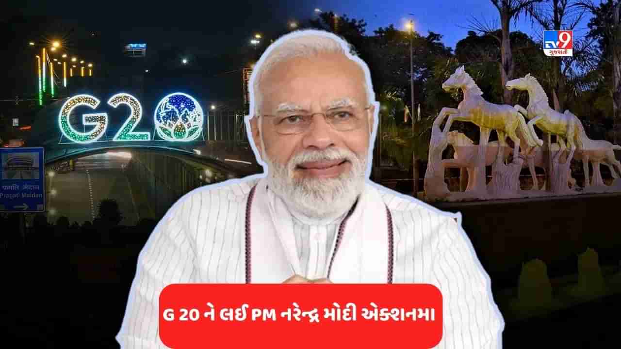 PM Modi in G 20 Meeting: G-20માં એવું તો શું થવાનું છે કે જેની તૈયારીમાં PM મોદી સહિત સમગ્ર તંત્ર વ્યસ્ત છે?