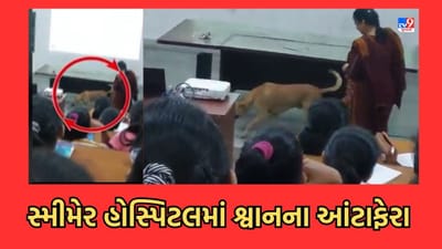 Gujarati Video : સ્મીમેર હોસ્પિટલની લાલિયાવાડીનો વધુ એક વીડિયો વાયરલ, લેક્ચર હોલમાં રખડી રહ્યુ છે શ્વાન