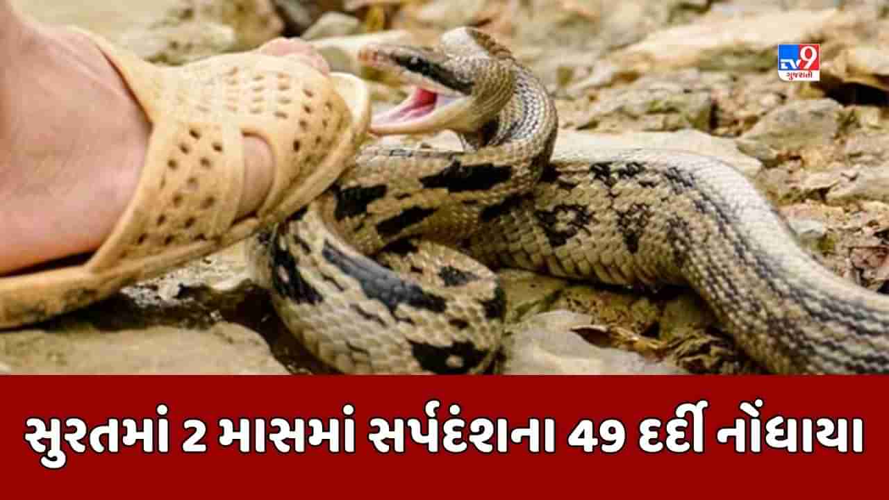 Surat : સિવિલ હોસ્પિટલમાં બે મહિનામાં સર્પદંશના 49 દર્દી નોંધાયા, તમામ સ્વસ્થ થઇ ઘરે પરત ફર્યા