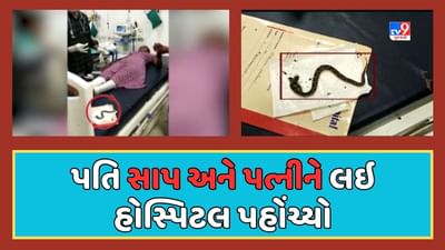 અરે બાપ રે !  પત્નીને ઝેરી સાપ કરડ્યો તો પતિ સાપ સાથે જ પત્નીને લઇને હોસ્પિટલ દોડ્યો, જૂઓ Video