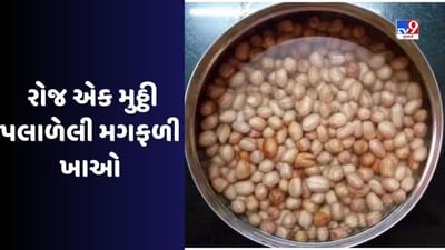 Health Benefits : જરૂરી નથી મોંઘી બદામ જ સ્વાસ્થ્ય માટે ફાયદાકારક છે, મગફળીમાં પણ છે ગુણોનો ખજાનો