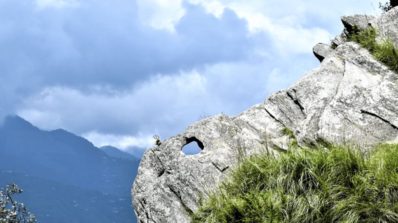 નૈનીતાલના મુક્તેશ્વર જિલ્લાની ચૌલી કી જાલી લોકોમાં આકર્ષણની સાથે આસ્થા માટે પણ પ્રખ્યાત છે. હાઇકિંગ માટે પ્રખ્યાત, આ સ્થાન પર સીધા ખડકો છે, અહીંનું મંદિર સુંદર દૃશ્યો સાથે ખૂબ જ લોકપ્રિય છે. (photo : www.justahotels.com)