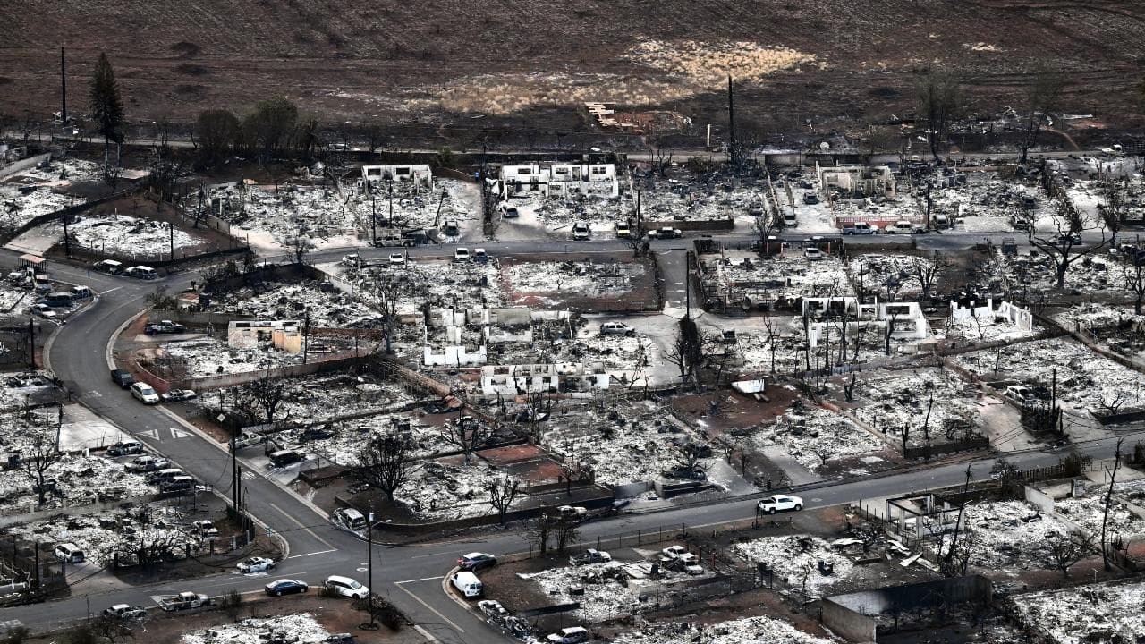 અધિકારીઓએ જણાવ્યું કે માઉ કાઉન્ટીમાં જંગલમાં લાગેલી આગને કારણે લગભગ 36 લોકોના મોત થયા છે. માયુ ટાપુમાં આગ લાગવાને કારણે વ્યાપક નુકસાન થયું છે.