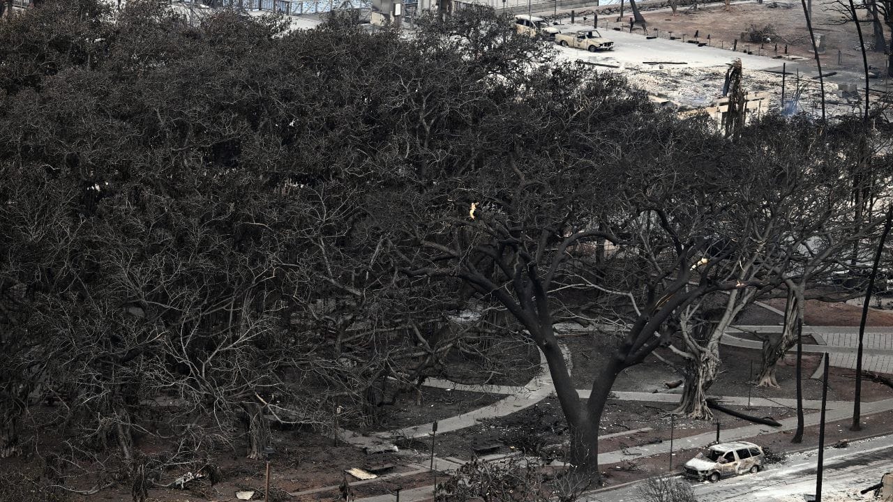 બાઈડન વહીવટીતંત્રે 8 ઓગસ્ટથી ભડકેલી વિશાળ જંગલી આગથી પ્રભાવિત વિસ્તારોમાં રાજ્ય અને સ્થાનિક સ્તરને સુધારવા માટે ફેડરલ સહાયનો આદેશ આપ્યો હતો. મળતી માહિતી મુજબ, માયુ કાઉન્ટીના ઘણા વિસ્તારોમાં જંગલમાં આગ ફેલાઈ ગઈ હતી.