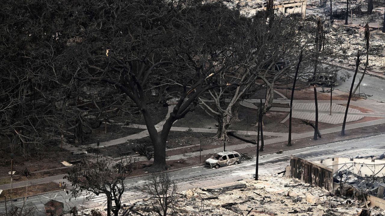 આ સહાયમાં ઘરના સમારકામ માટે અનુદાન, વીમા વિનાની મિલકતના નુકસાનને આવરી લેવા માટે ઓછી કિંમતની લોન અને વ્યક્તિઓ અને વ્યવસાય માલિકોને આપત્તિમાંથી ઉભરવા મદદ કરવા માટેના કાર્યક્રમોની શ્રેણીનો સમાવેશ થાય છે.