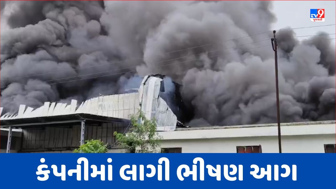 Breaking News : વડોદરાના મંજુસર GIDCમાં આવેલ નીઓ સિલ નામની કંપનીમાં લાગી ભીષણ આગ, ચારથી વધુ ફાયર ફાઇટર ઘટના સ્થળે