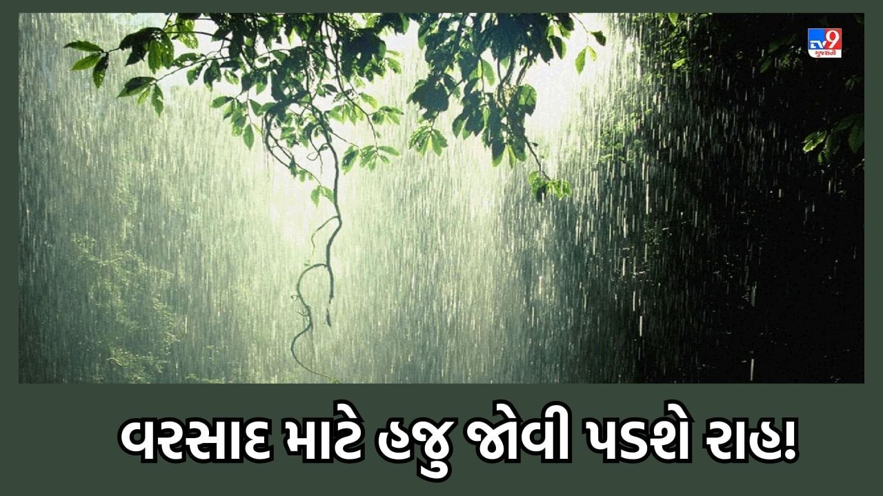 Weather Updates: ગુજરાતમાં હજુ સારા વરસાદનો નથી કોઈ વરતારો, હવામાન વિભાગ અનુસાર સારા વરસાદ માટે હજુ જોવી પડશે રાહ