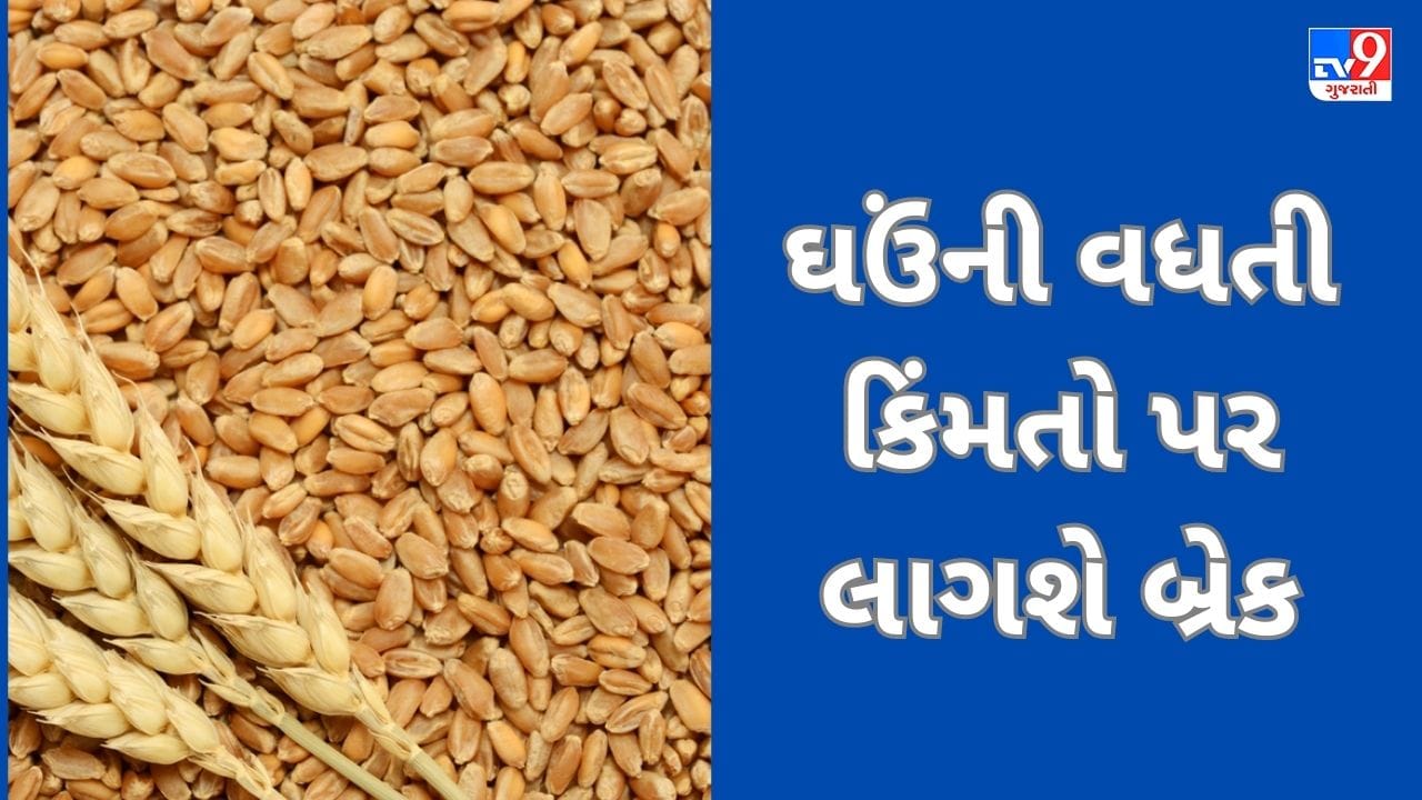 ઘઉંની વધતી કિંમતો પર ટૂંક સમયમાં બ્રેક લાગશે, 3 દિવસમાં સરકાર લઈ શકે છે