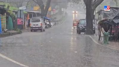 ડાંગ જિલ્લામાં બે દિવસથી વરસાદી માહોલ છલાયેલો છે. વરસાદ બાદ વાતાવરણમાં ઠંડક પ્રસરી ગઇ છે.