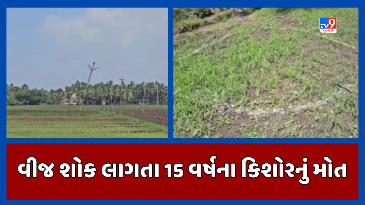 Porbandar : વીજ શોક લાગતા 15 વર્ષના કિશોરનું મોત, PGVCLની બેદરકારીના કારણે મોત થયાનો ગ્રામજનોનો આક્ષેપ, જુઓ Video