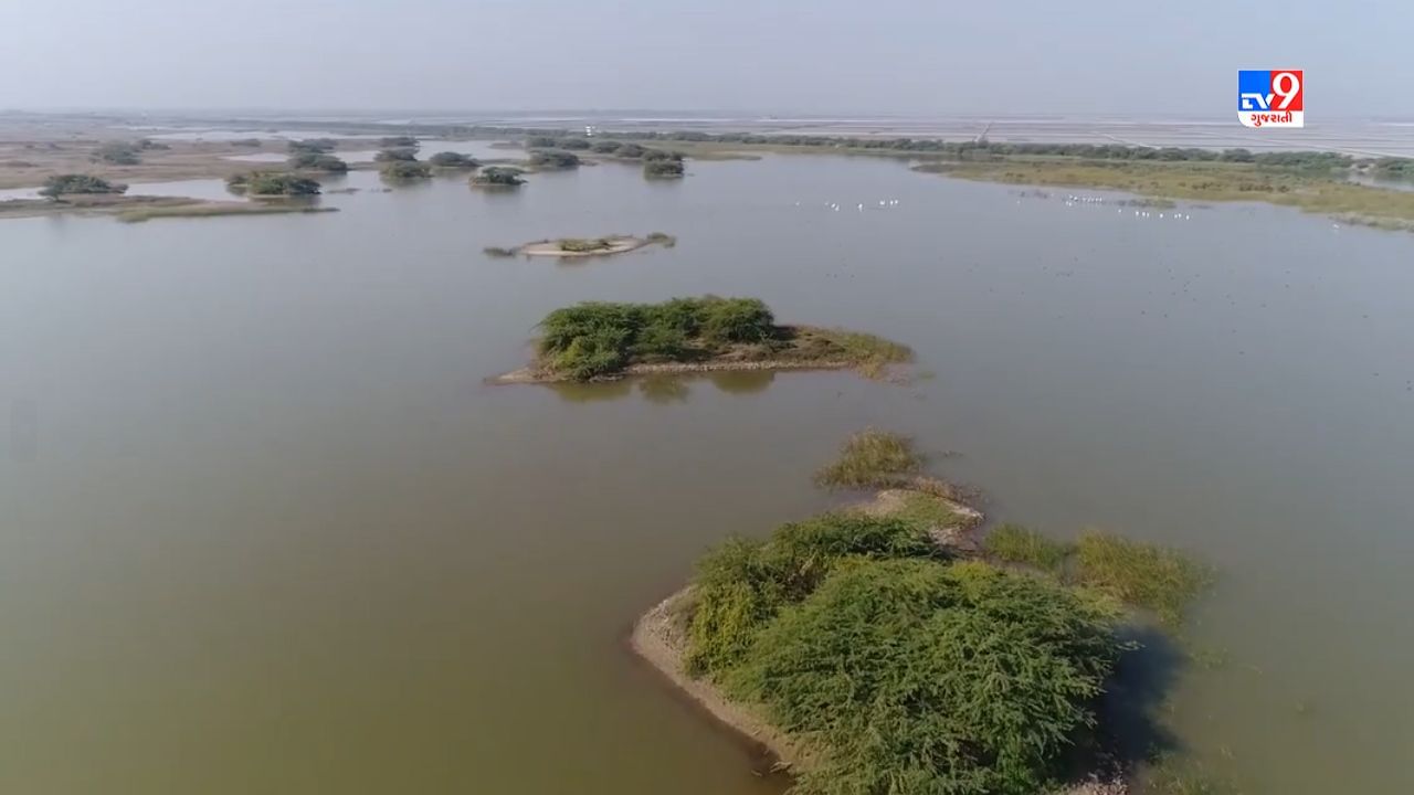 અનેક અનુકુળતા અને પ્રતિકુળતાઓના કારણે અહી પક્ષી અભ્યારણ્ય આવેલુ છે. જયા કેનાલ, તળાવ, ખાબોચીયા, નદીના વહેતા પાણી, વેટલેન્ડ, અનેક વૃક્ષો, આવેલા છે. જેના કારણે દેશ-વિદેશના 314થી વધુ પ્રકારના પક્ષીઓ વસવાટ કરે છે. થોડા વર્ષ પહેલા ખીજડીયાને રામસર સાઈડ તરીકે સરકાર દ્રારા જાહેર કરવામાં આવેલ છે. તેમ મરીન નેશનલ પાર્ક દ્રારા તેની જાળવણી અને સંરક્ષણ માટેની કામગીરી કરવામાં આવે છે. 
