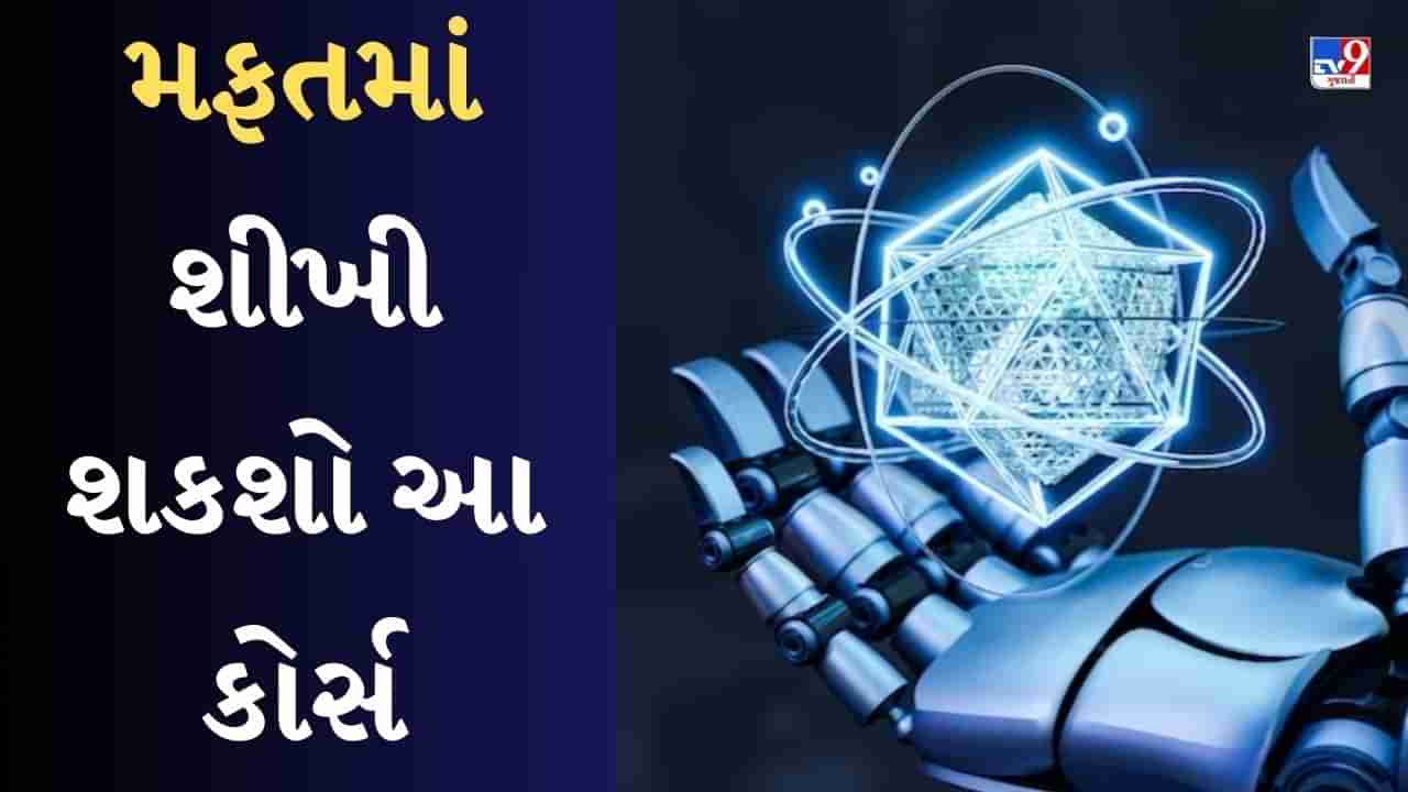 તમામ ઉંમરના લોકો મફતમાં કરી શકશે AI કોર્સ, આ રાજ્યના સ્ટાર્ટઅપે શરૂ કર્યો આ પ્રોગ્રામ