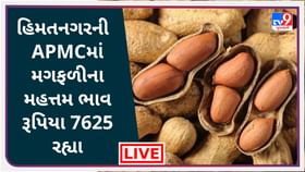 જાણો ગુજરાતની તમામ APMCના જુદા જુદા પાકના ભાવ જાણો ગુજરાતની તમામ APMCના જુદા જુદા પાકના ભાવ