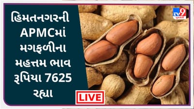 Mandi : હિમતનગરની APMCમાં મગફળીના મહત્તમ ભાવ રૂપિયા 7625 રહ્યા ,જાણો જુદા-જુદા પાકના ભાવ