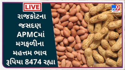 Mandi : રાજકોટના જસદણ APMCમાં મગફળીના મહત્તમ ભાવ રૂપિયા 8474 રહ્યા, જાણો જુદા-જુદા પાકના ભાવ Mandi : રાજકોટના જસદણ APMCમાં મગફળીના મહત્તમ ભાવ રૂપિયા 8474 રહ્યા, જાણો જુદા-જુદા પાકના ભાવ