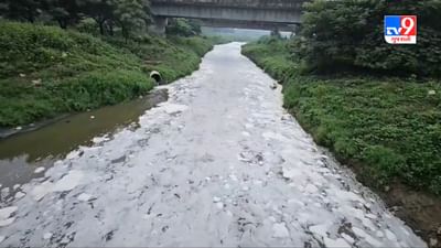 Gujarati Video : અંકલેશ્વરની આમલાખાડીમાં પ્રદૂષણે માઝા મૂકી, ખાડીમાં સફેદ ફીણ વહેતું નજરે પડ્યું Gujarati Video : અંકલેશ્વરની આમલાખાડીમાં પ્રદૂષણે માઝા મૂકી, ખાડીમાં સફેદ ફીણ વહેતું નજરે પડ્યું