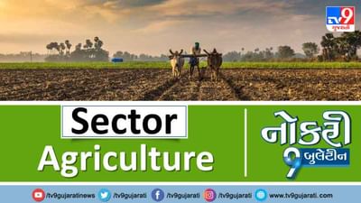 Naukri9 Video: સ્નાતકો માટે એગ્રીકલ્ચર ક્ષેત્રમાં નોકરીની ઉત્તમ તક, મળશે મહિને 54000 થી વધુ પગાર