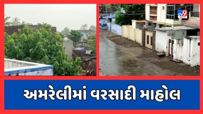 Amreli Rain : સાવરકુંડલા શહેર અને ગ્રામ્ય વિસ્તારોમાં વરસાદ વરસ્યો, ખેડૂતોમાં ખુશીનો માહોલ, જુઓ Video