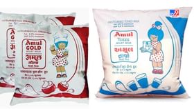 રાહતના સમાચાર: હવે મોંઘું નહીં થાય અમૂલનું દૂધ, આ છે કારણ રાહતના સમાચાર: હવે મોંઘું નહીં થાય અમૂલનું દૂધ, આ છે કારણ