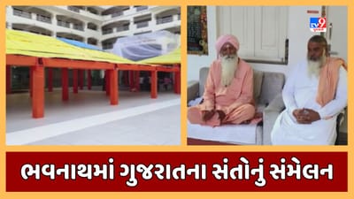 Junagadh Video : ભવનાથમાં સનાતન ધર્મના રક્ષણ માટે મળશે સંત સંમેલન, ગુજરાતભરના સંતો-મહંતો હાજર રહેશે