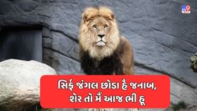 Attitude Shayari : ધમાકેદાર એટિટ્યુડ શાયરી ગુજરાતીમાં વાંચો Attitude Shayari : ધમાકેદાર એટિટ્યુડ શાયરી ગુજરાતીમાં વાંચો
