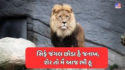Attitude Shayari : મેરા Attitude તો મેરી નિશાની હૈ, તૂ બતા તુઝે કોઈ પરેશાની હૈ ? જેવી શાયરી વાંચો