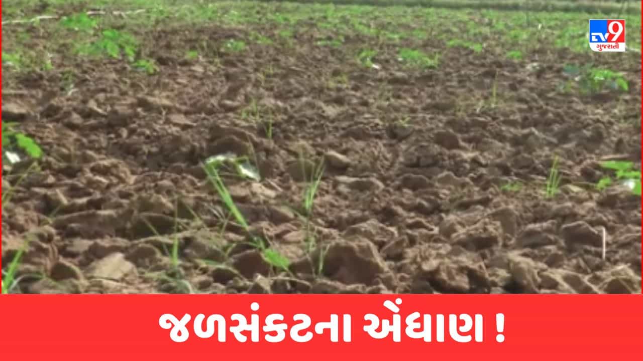 Gujarati Video : બનાસકાંઠા જિલ્લામાં જળસંકટના એંધાણ ! વરસાદ ખેંચાતા ખેડૂતોનો પાક બળી જવાના આરે, જગતનો તાત ચિંતિત