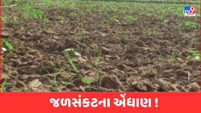 Gujarati Video : બનાસકાંઠા જિલ્લામાં જળસંકટના એંધાણ ! વરસાદ ખેંચાતા ખેડૂતોનો પાક બળી જવાના આરે, જગતનો તાત ચિંતિત