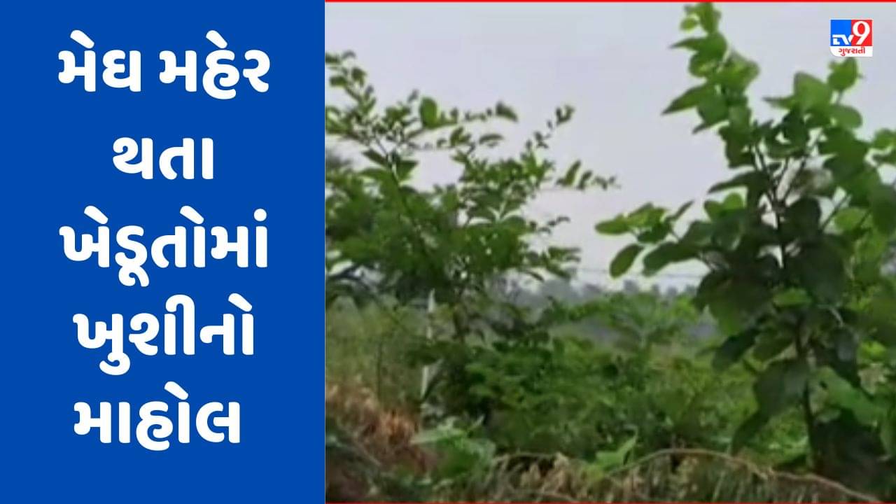 Banaskantha Rain : દાંતીવાડા પંથકમાં વરસાદી માહોલ, ખેડૂતોમાં જોવા મળ્યો ખુશીનો માહોલ, જુઓ Video