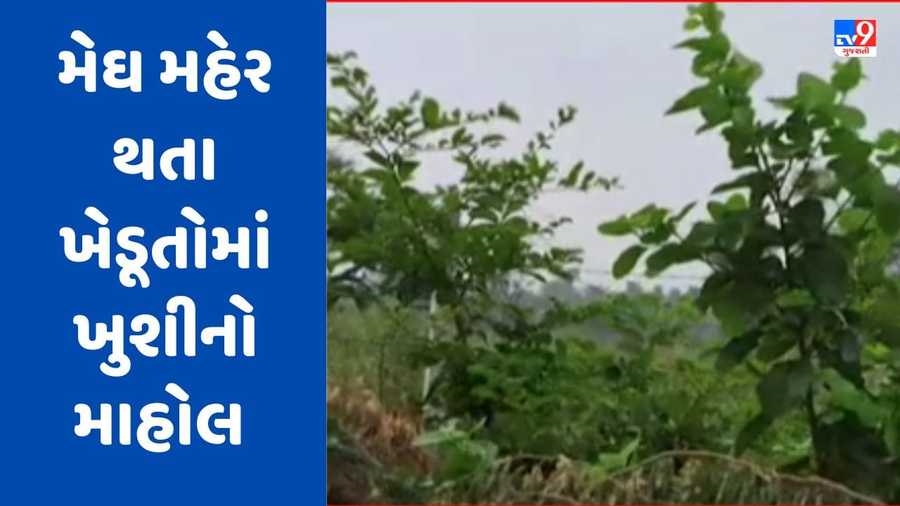 Banaskantha Rain : દાંતીવાડા પંથકમાં વરસાદી માહોલ, ખેડૂતોમાં જોવા મળ્યો ખુશીનો માહોલ, જુઓ Video Banaskantha Rain : દાંતીવાડા પંથકમાં વરસાદી માહોલ, ખેડૂતોમાં જોવા મળ્યો ખુશીનો માહોલ, જુઓ Video
